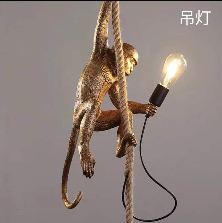 Light